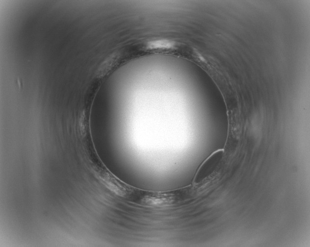 X0000075840563200609291441