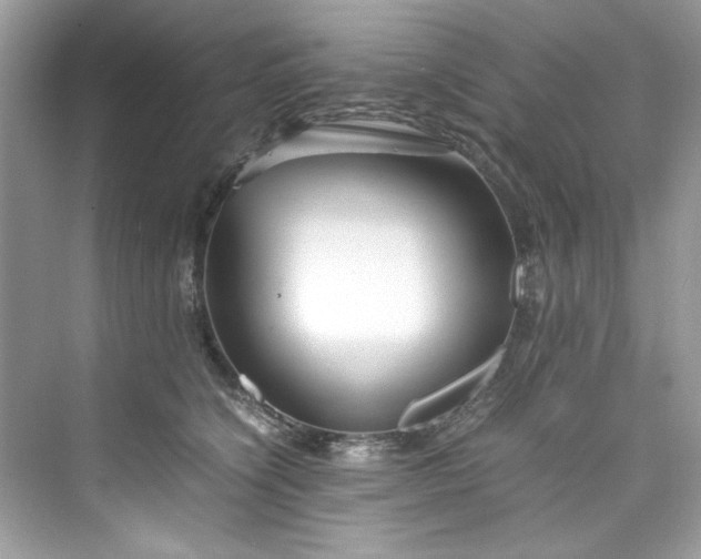 X0000075840564200609291441