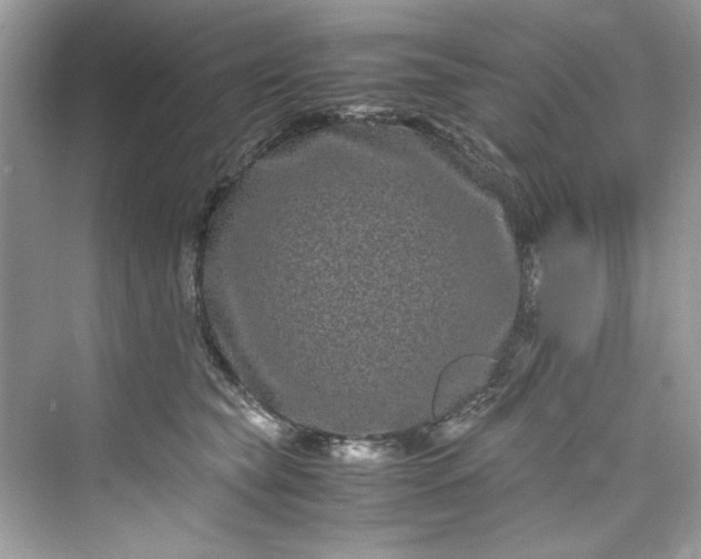 X0000075840565200609291441