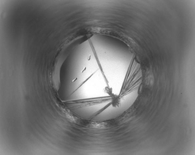 X0000075840569200609291441