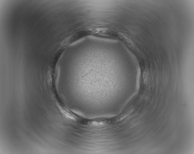 X0000075840570200609291441