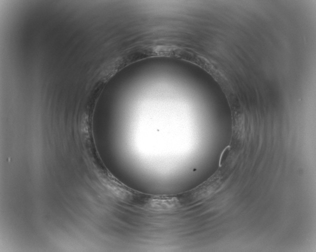 X0000075840571200609291441