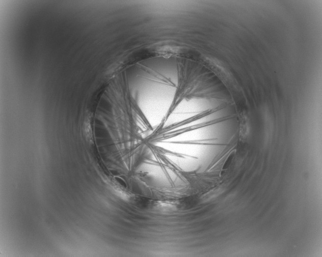 X0000075840573200609291441