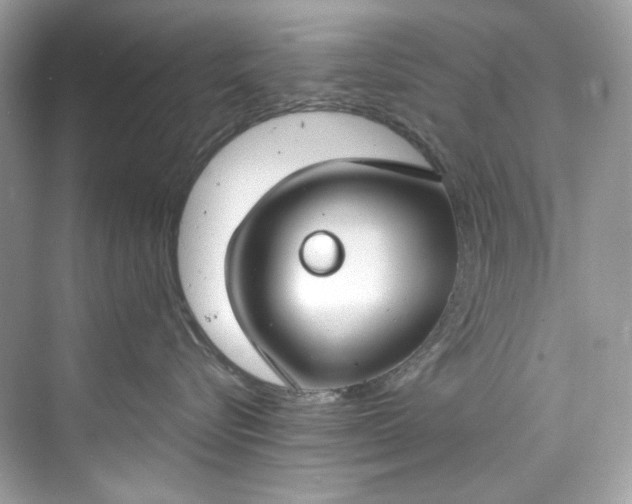 X0000075840576200609291441