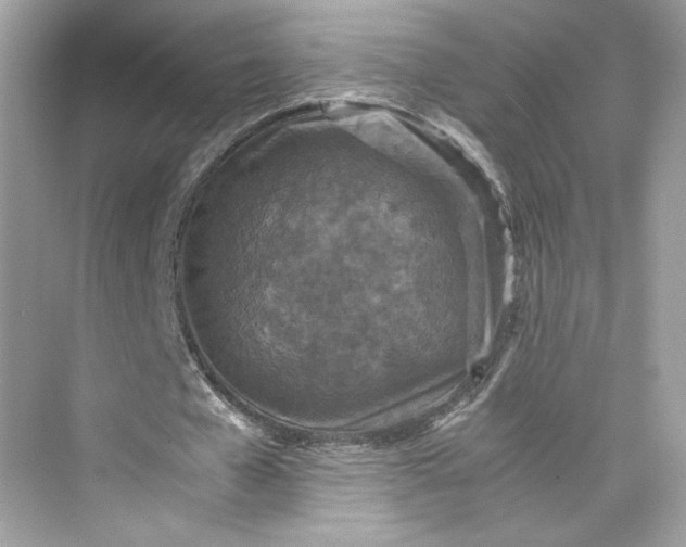 X0000075840577200609291440