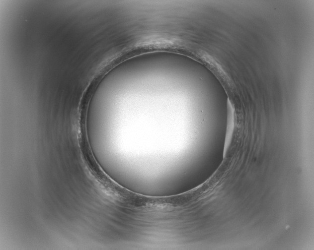 X0000075840582200609291440