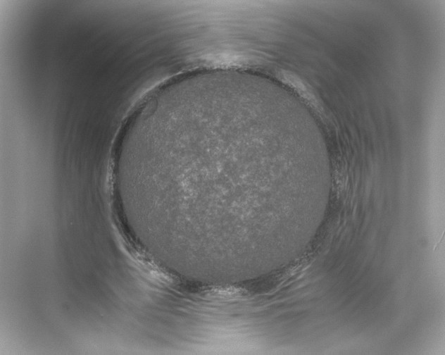 X0000075840583200609291440