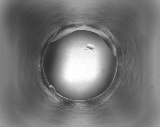 X0000075840585200609291440