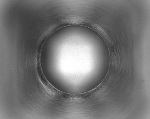 X0000075840586200609291440