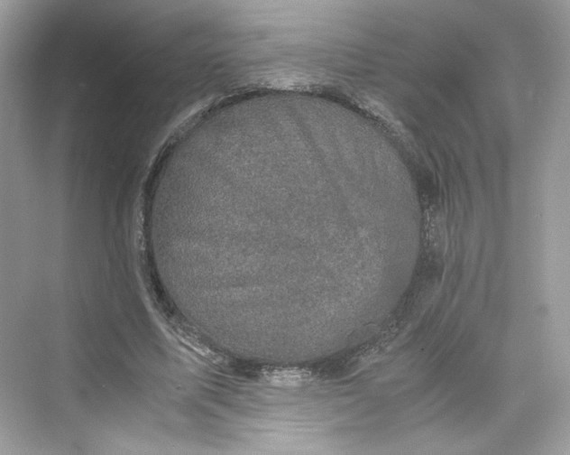 X0000075840587200609291440