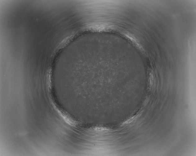 X0000075840590200609291440