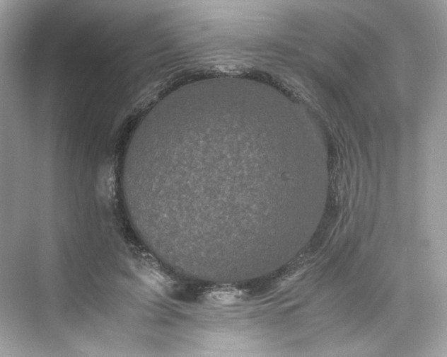 X0000075840595200609291440