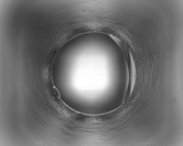 X0000075840597200609291440