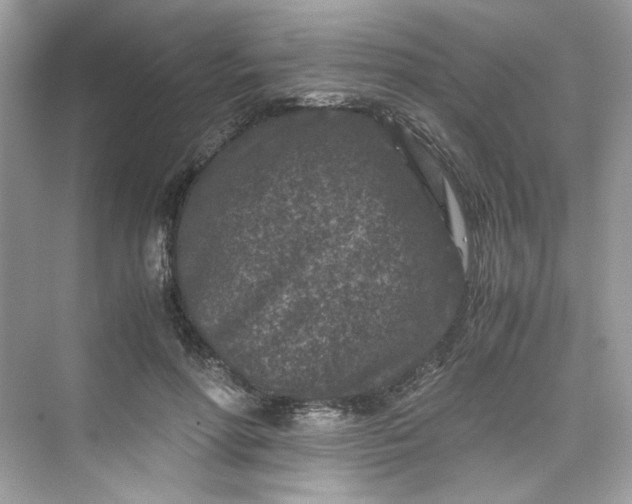 X0000075840598200609291440