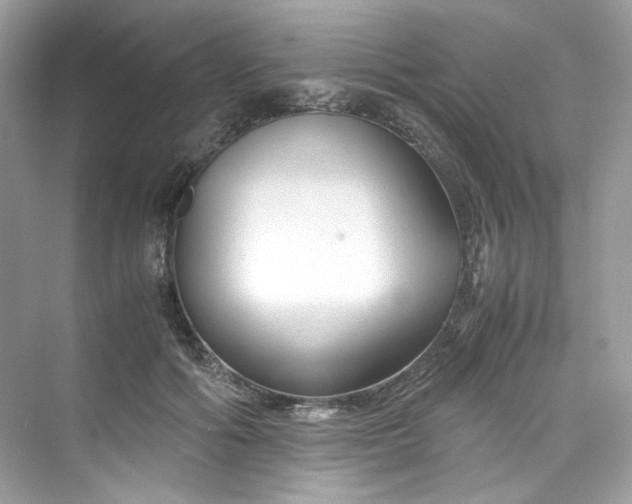 X0000075840602200609291439