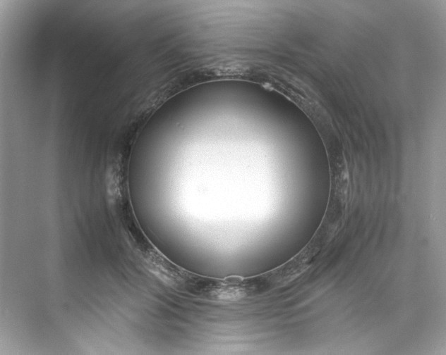 X0000075840604200609291439