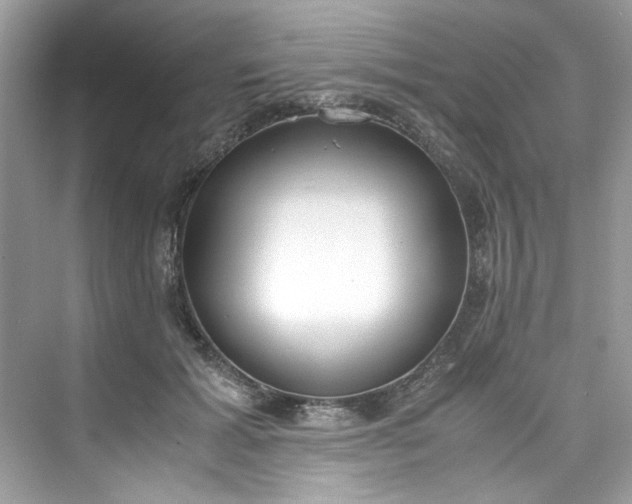 X0000075840605200609291439