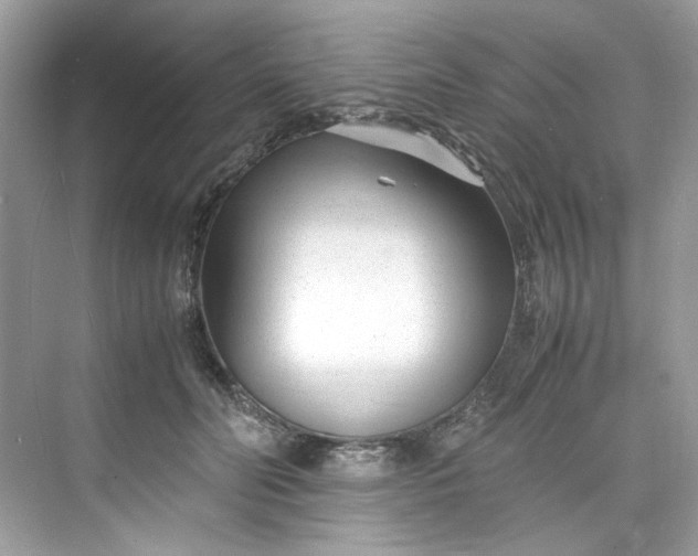 X0000075840606200609291439