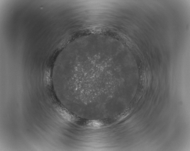 X0000075840610200609291439