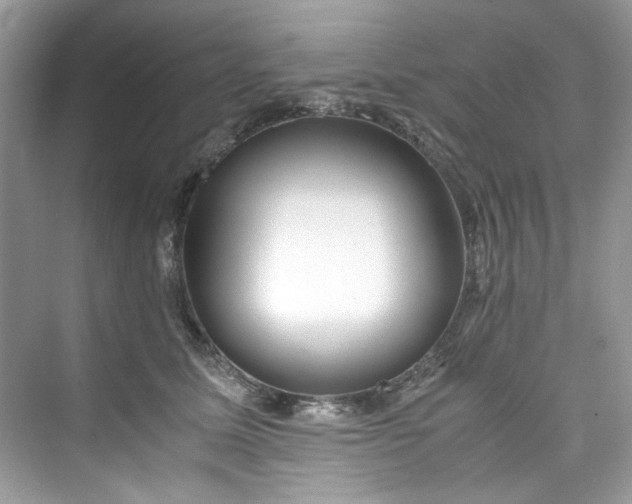 X0000075840611200609291439