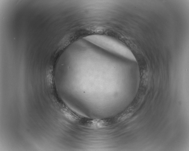 X0000075840612200609291439