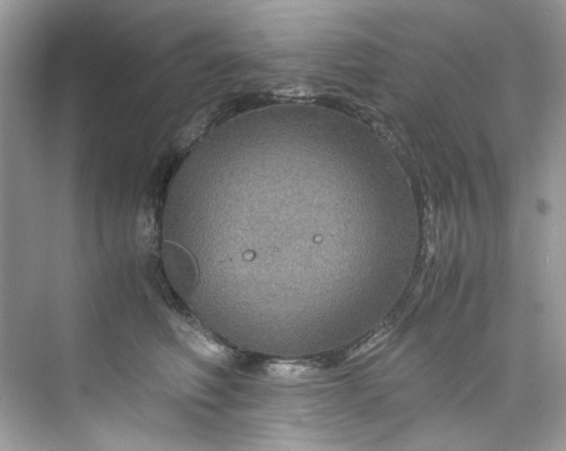 X0000075840614200609291439