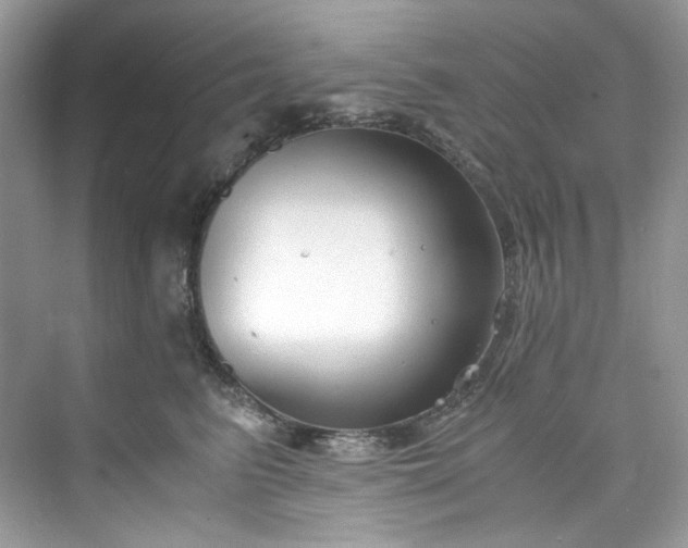 X0000075840615200609291439