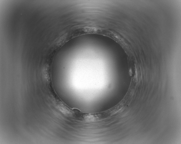 X0000075840616200609291439