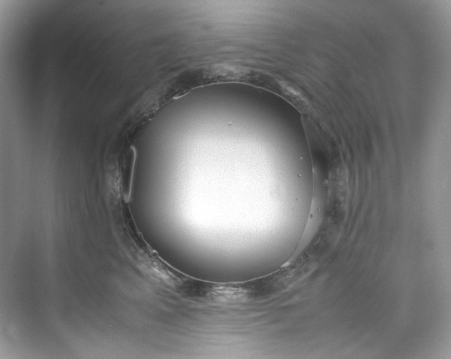 X0000075840617200609291439