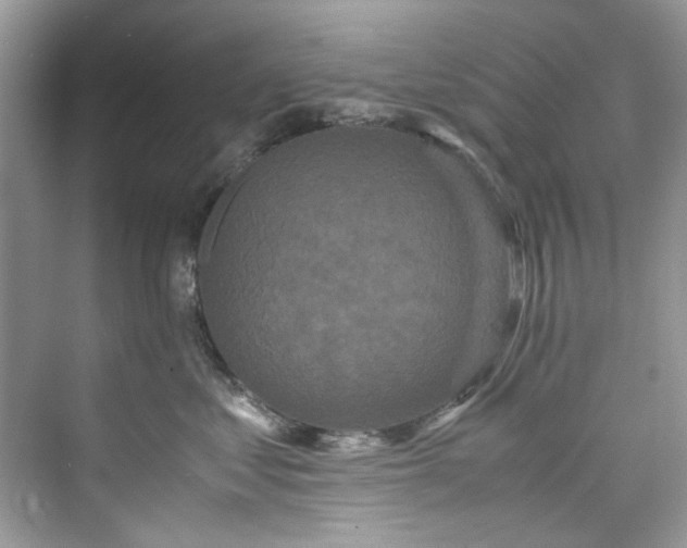 X0000075840621200609291439