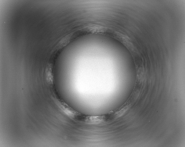 X0000075840622200609291439