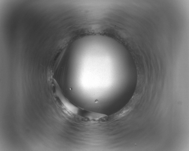 X0000075840624200609291439