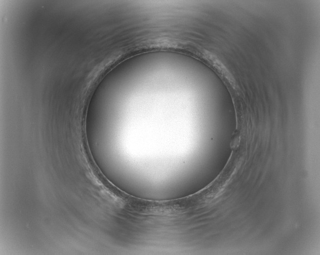 X0000075840625200609291438