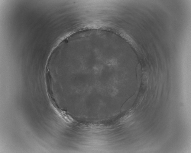 X0000075840626200609291438