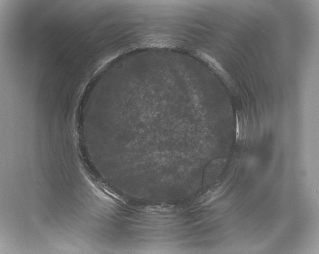 X0000075840627200609291438