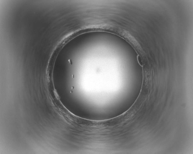 X0000075840628200609291438