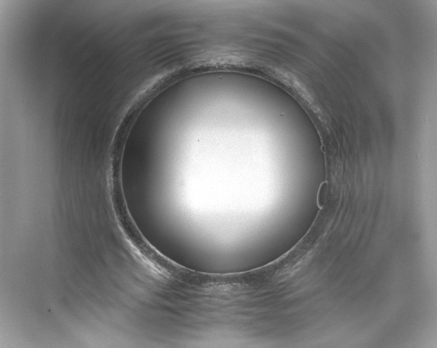 X0000075840629200609291438