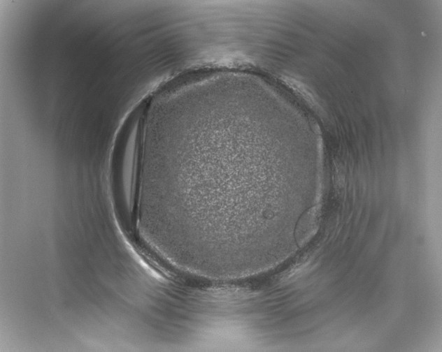 X0000075840630200609291438