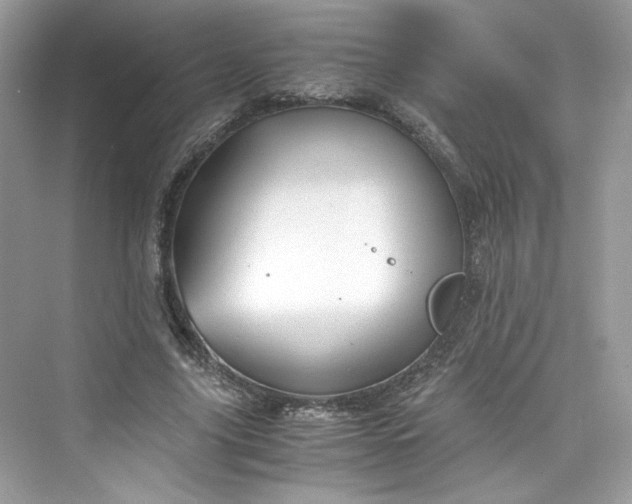 X0000075840635200609291438