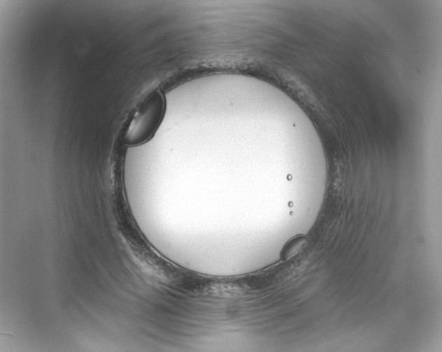 X0000075840636200609291439