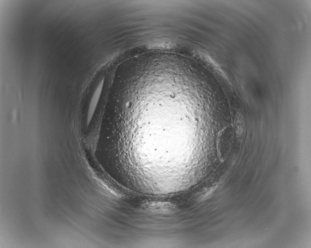 X0000075840637200609291439