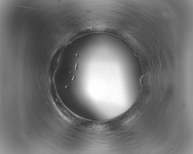 X0000075840638200609291439