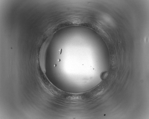 X0000075840639200609291439