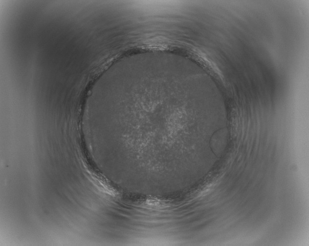 X0000075840641200609291439