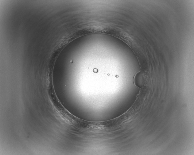 X0000075840642200609291439