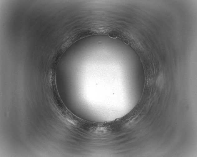 X0000075840647200609291439