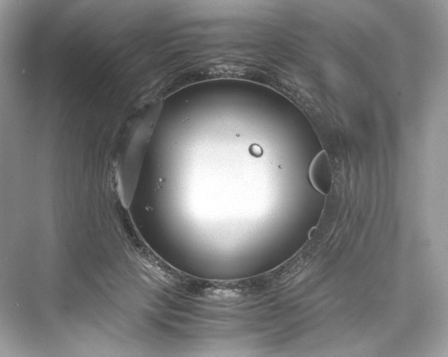 X0000075840649200609291439