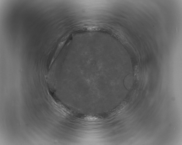 X0000075840650200609291439