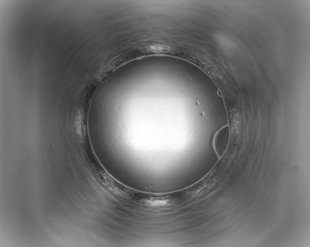 X0000075840651200609291439