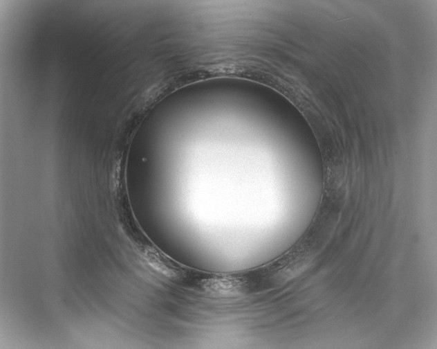 X0000075840652200609291439